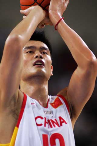 结合的阵容